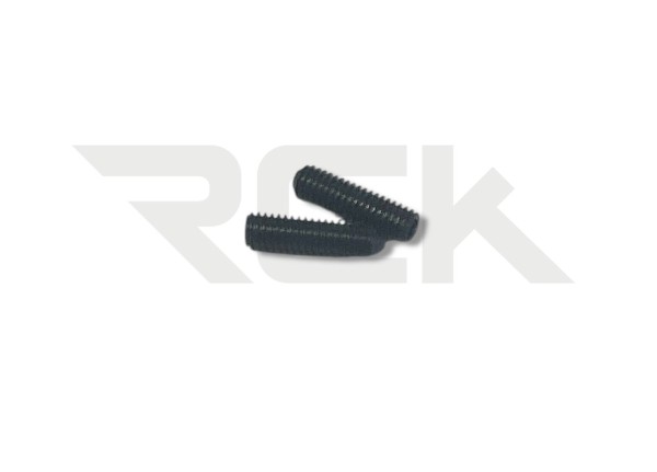 Tamiya 9804194 - TRF 421 - Set Screw - M3x10mm (2 pcs)