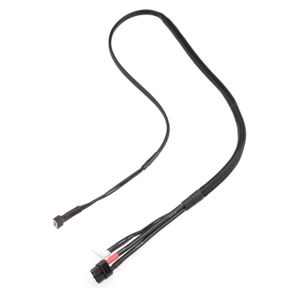 Ruddog Products 0734 - RX/TX Ladekabel - 80cm - XT60 auf 7-PIN XH